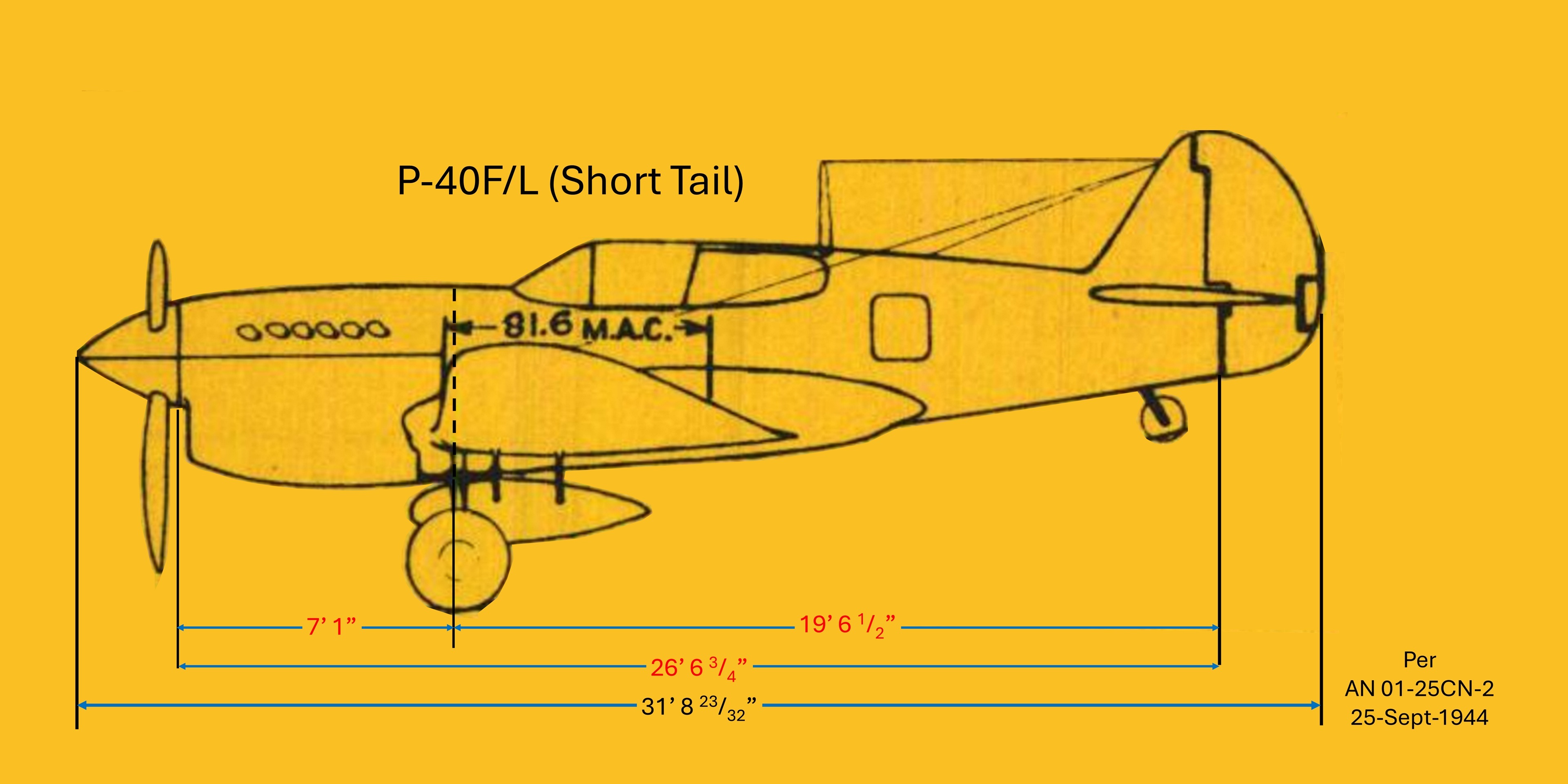 P40 Short